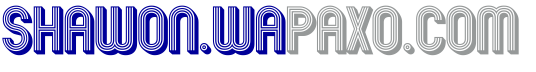 BNTips logo