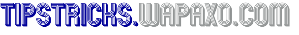 http://tipstricks.wapaxo.com logo